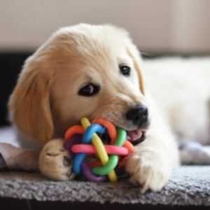 Meet your Posher, Brooklyn